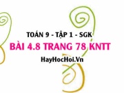 Bài 4.8 Toán 9 tập 1 SGK Kết nối tri thức